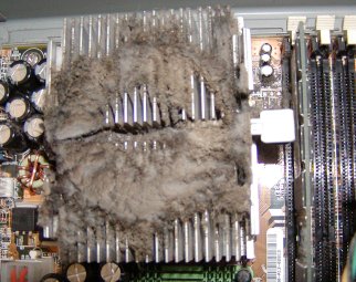 "Немного" пыльный радиатор процессора